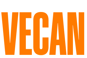 Instalaciones Vecan logo